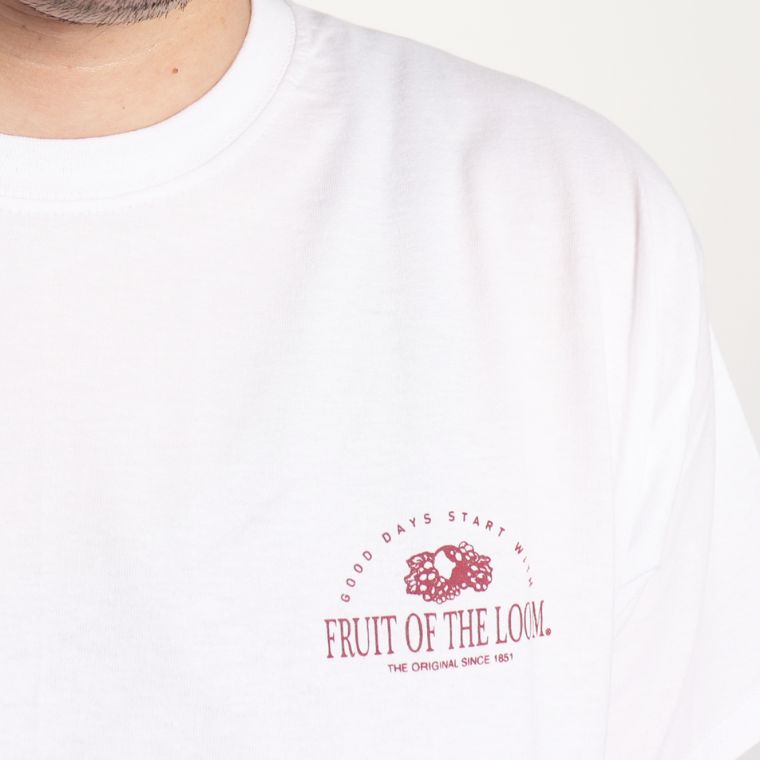 FRUIT OF THE LOOM フルーツオブザルーム 半袖 プリントTシャツ 27 mens